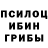 Псилоцибиновые грибы Psilocybe SAFINA TUSALMA