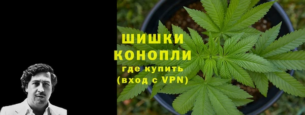 прущие крисы Алзамай