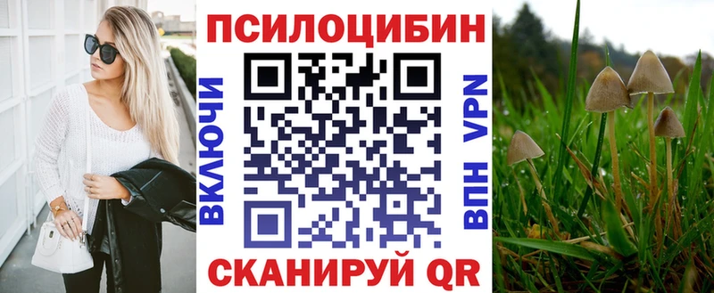 Псилоцибиновые грибы мицелий  дарнет шоп  Байкальск 